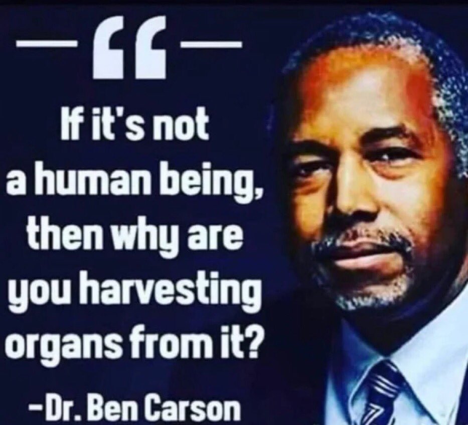 We need to Save The Children! If you say it’s not a human being then why are you harvesting organs from it? Dr Ben Carson @diannecope13469 @ChrisLilBooksto @HappyDays1776 @Libby4Liberty0 @MrMaxPatriot1 @GlockfordFiles @pixiebell2022 @earthing5000 @treadaway_117…