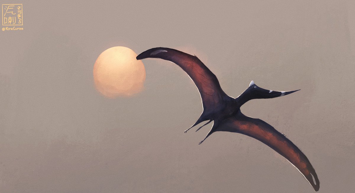 Tethydraco Sunset 

#50daysofpterosaurs day 8 #paleoart