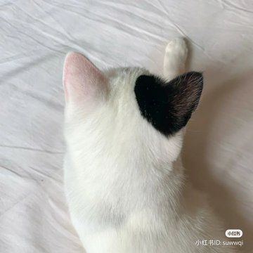 positivityofx's tweet photo. https://t.co/poDJP29Cnp
