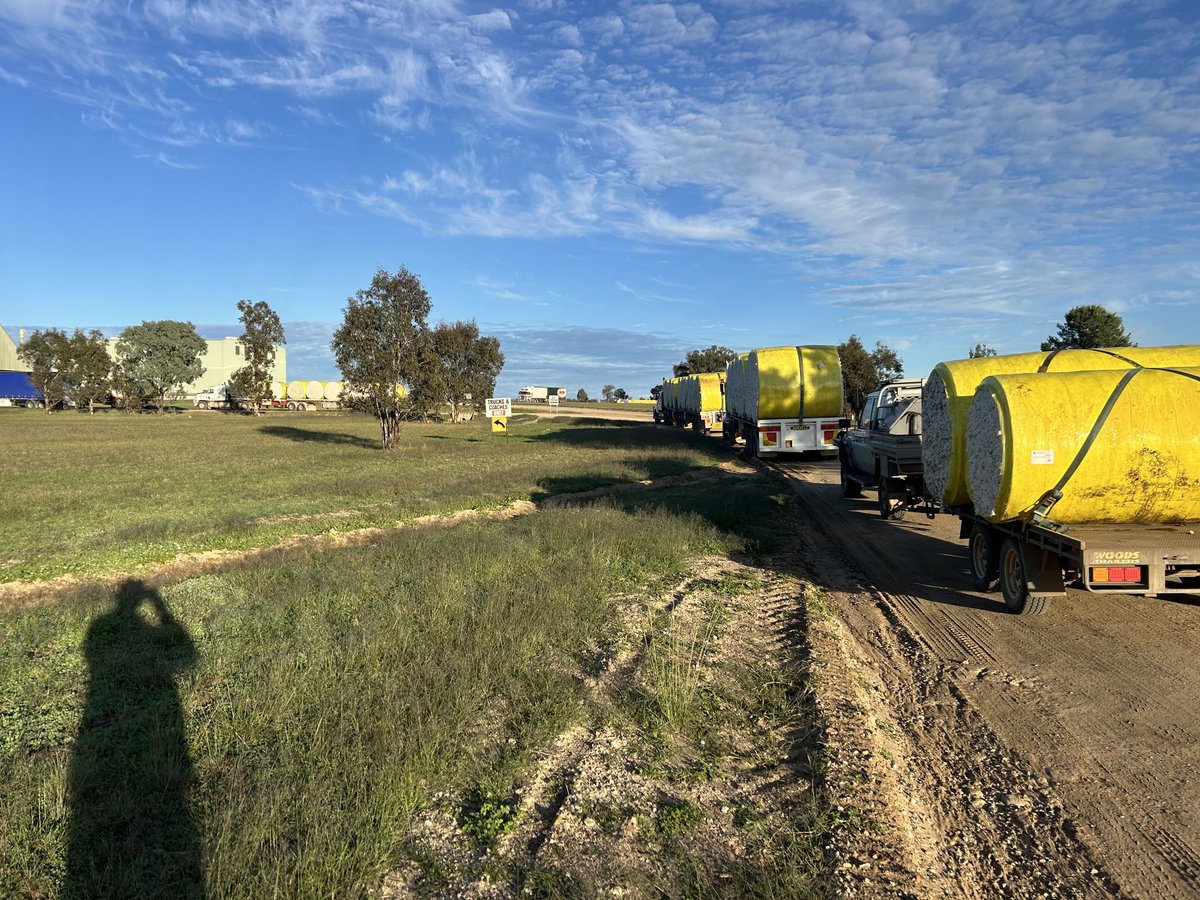 Andrew Watson tweet media