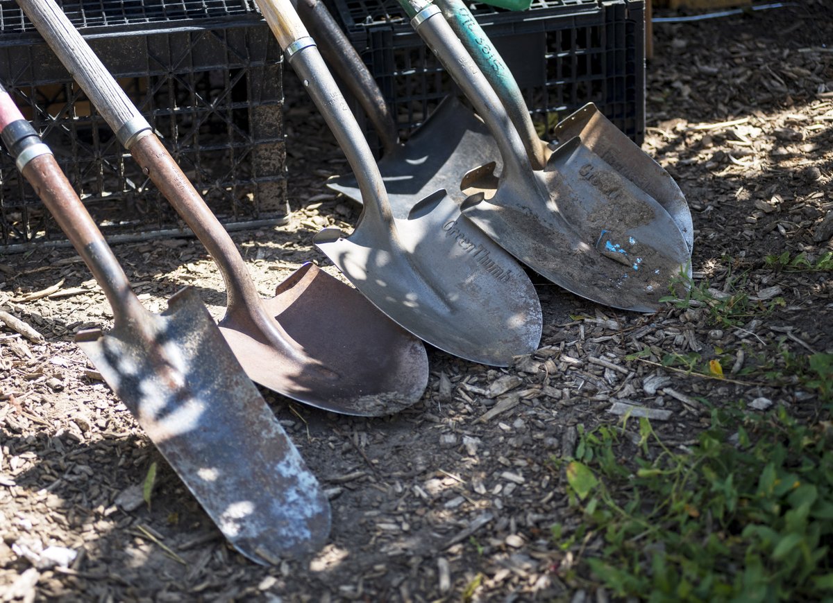 Volunteers are needed to help plant perennials in parks throughout the city! We're starting next week with a 3-day project at Alamo Placita park, with more plantings scheduled through mid-June. Visit godenverparks.denvergov.org/Calendar to find and register for opportunities. Thank you!