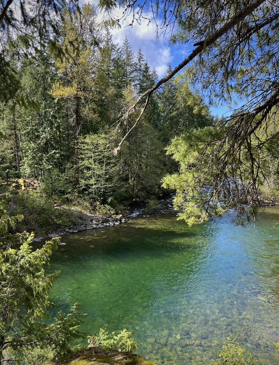 What a gorgeous start to May it was, with a lovely walk at Nymph Falls (Comox Valley) with some beautiful and kind people. (05.01.24)