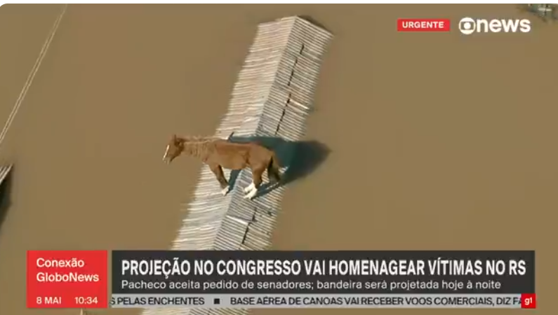 toninhodocall's tweet photo. Eu passei a porcaria da tarde pensando no cavalo do telhado. 

Mais alguém? https://t.co/Fphg2DKdk2