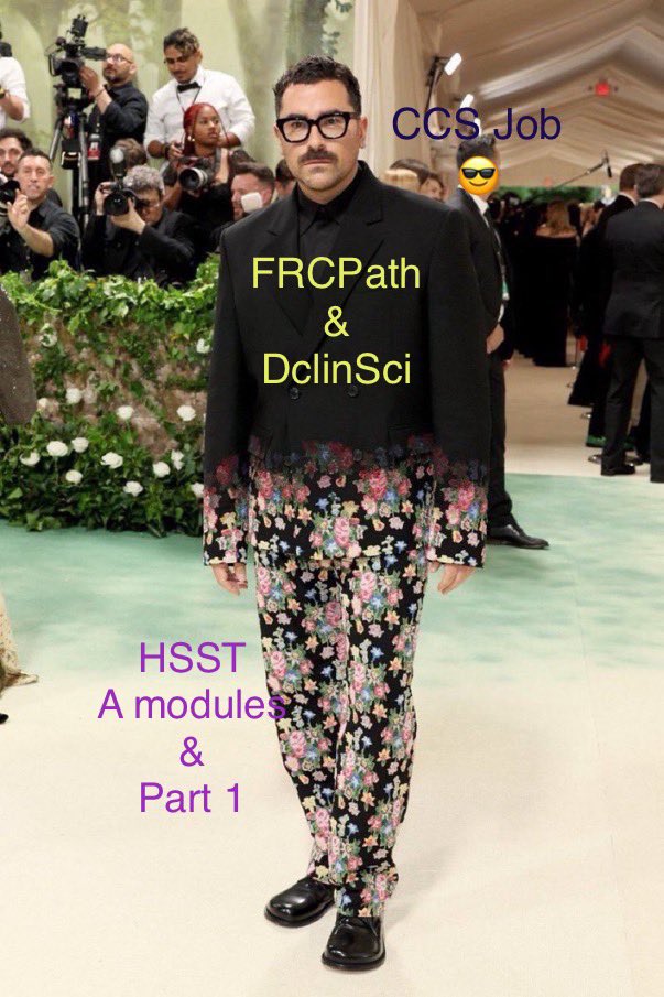 Time to join the met gala meme fest #hsst If you know, you know 🤣