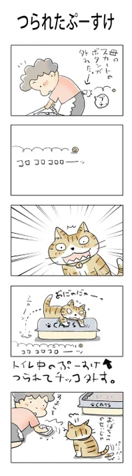 つられたぷうすけ #こんなん描いてます #自作まんが #漫画 #猫まんが #4コママンガ #NEKO3