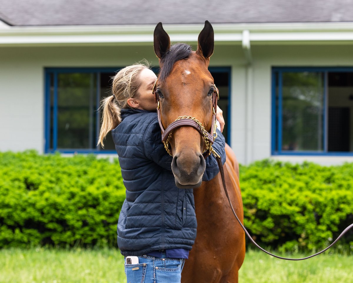 Pin Oak Stud tweet media