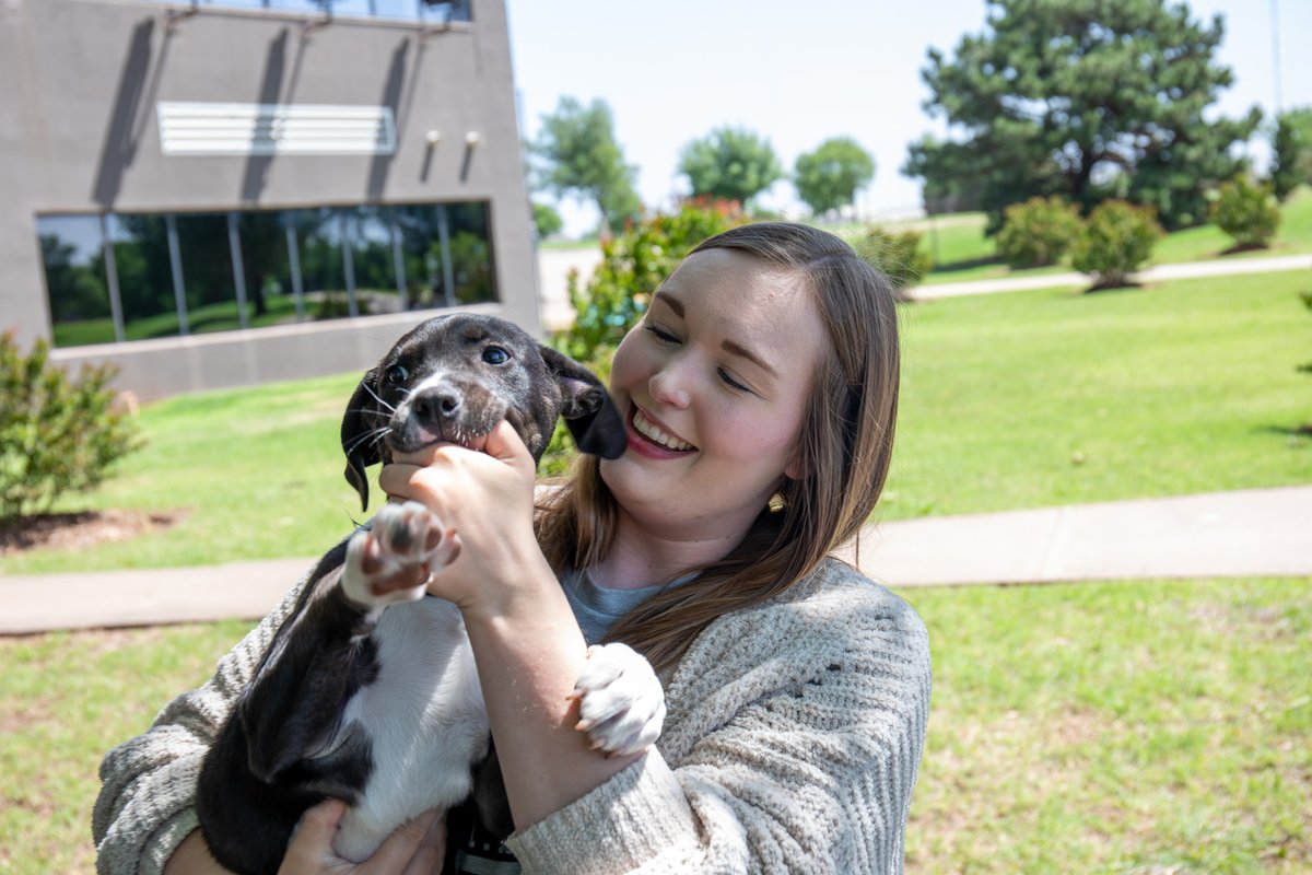We celebrated our Colleagues and their commitment to being #adifferentopinion for our Customers with a few furry friends! What better way to destress with a quick break during the work week? 🐶 Learn more about our culture and life at AF! bit.ly/3voDgiL #GPTW
