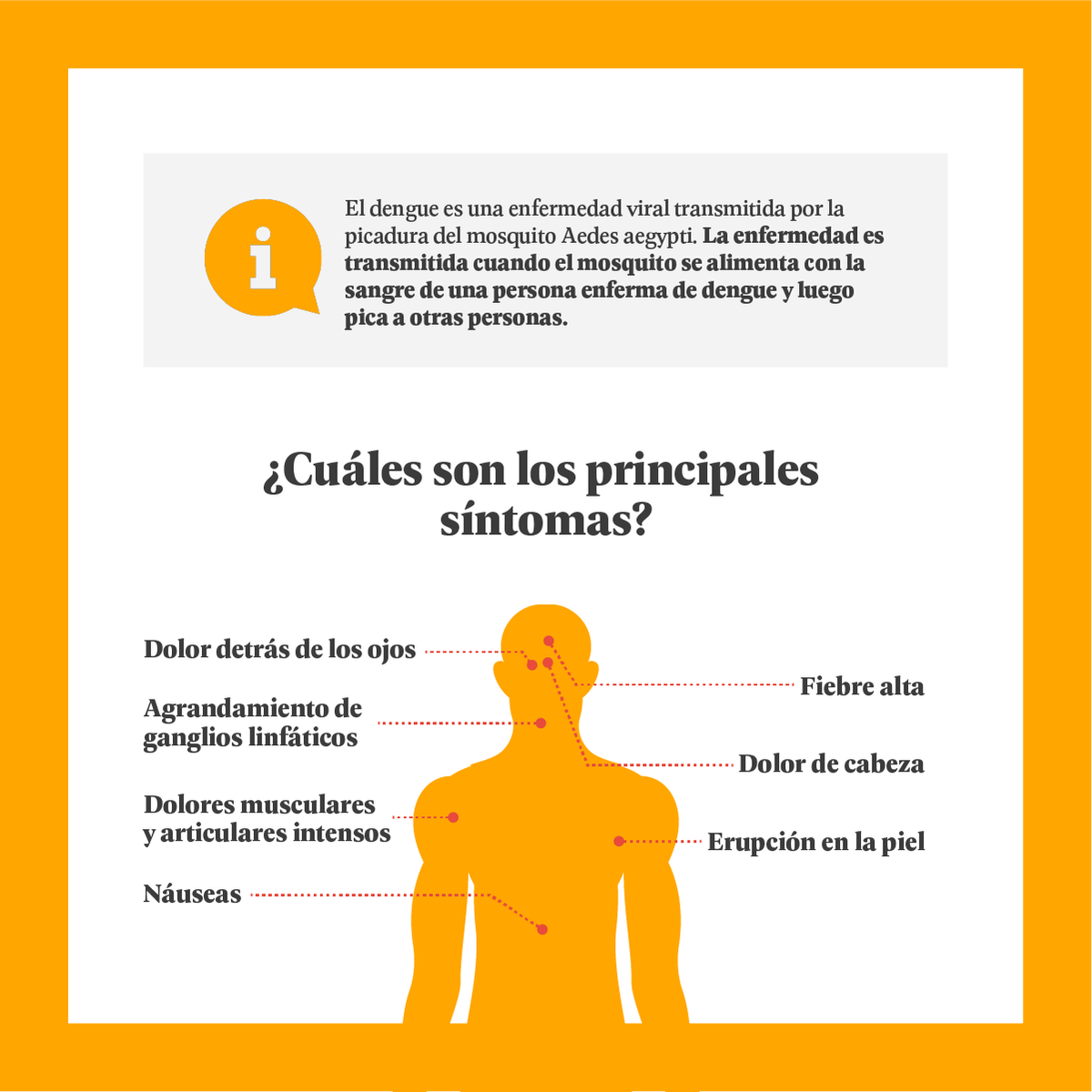 Practical Action en América Latina tweet media