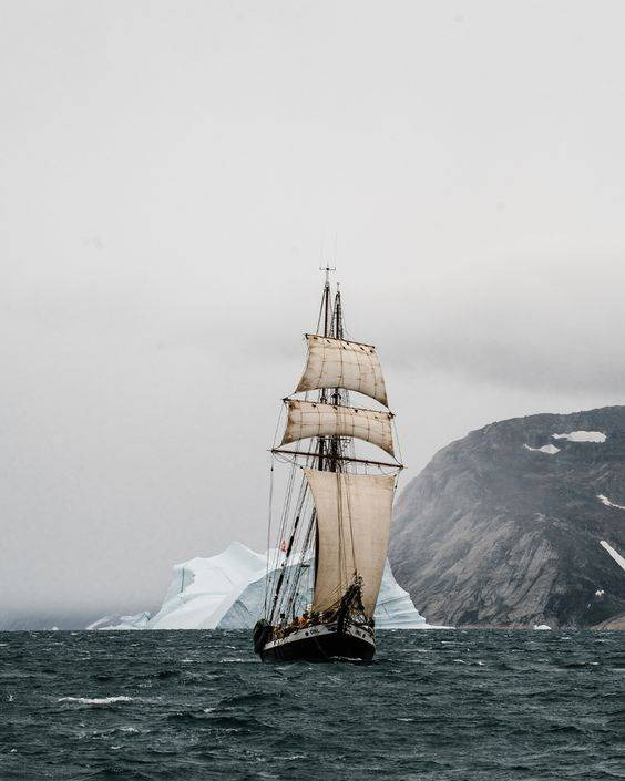 ElArteDeVivir__'s tweet image. "No hay viento favorable para el que no sabe dónde va."

-Séneca