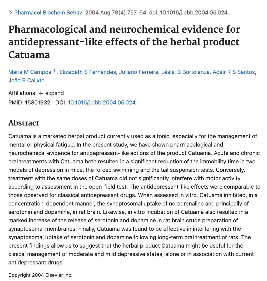 There are only 5 herbs that compare to Adderall

Muira Puama is one of them

It powerfully boosts dopamine & noradrenaline, especially when paired with Catuaba Bark

But that’s not all:

- Antidepressant properties
- Increases NGF secretion
- Enhances memory (acetylcholine)
-