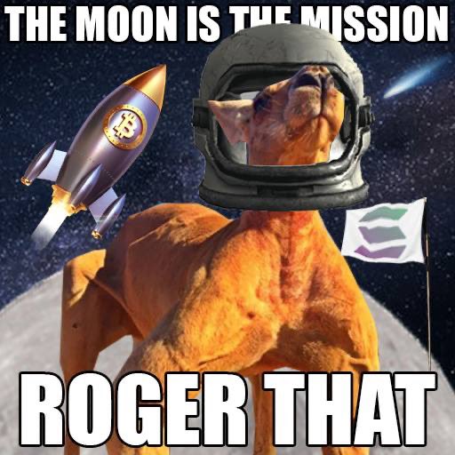 DOGE OG tweet media