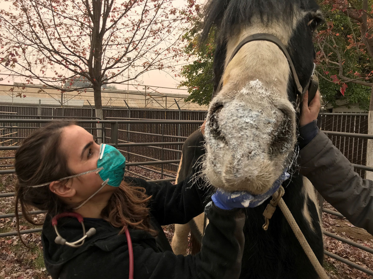 When disaster strikes, @CVETUCDavis keeps pets safe. Learn how a team of veterinarians is preparing for the next big fire, flood, or earthquake on Senator @Steve_Glazer’s podcast: buzzsprout.com/2194691/149047…