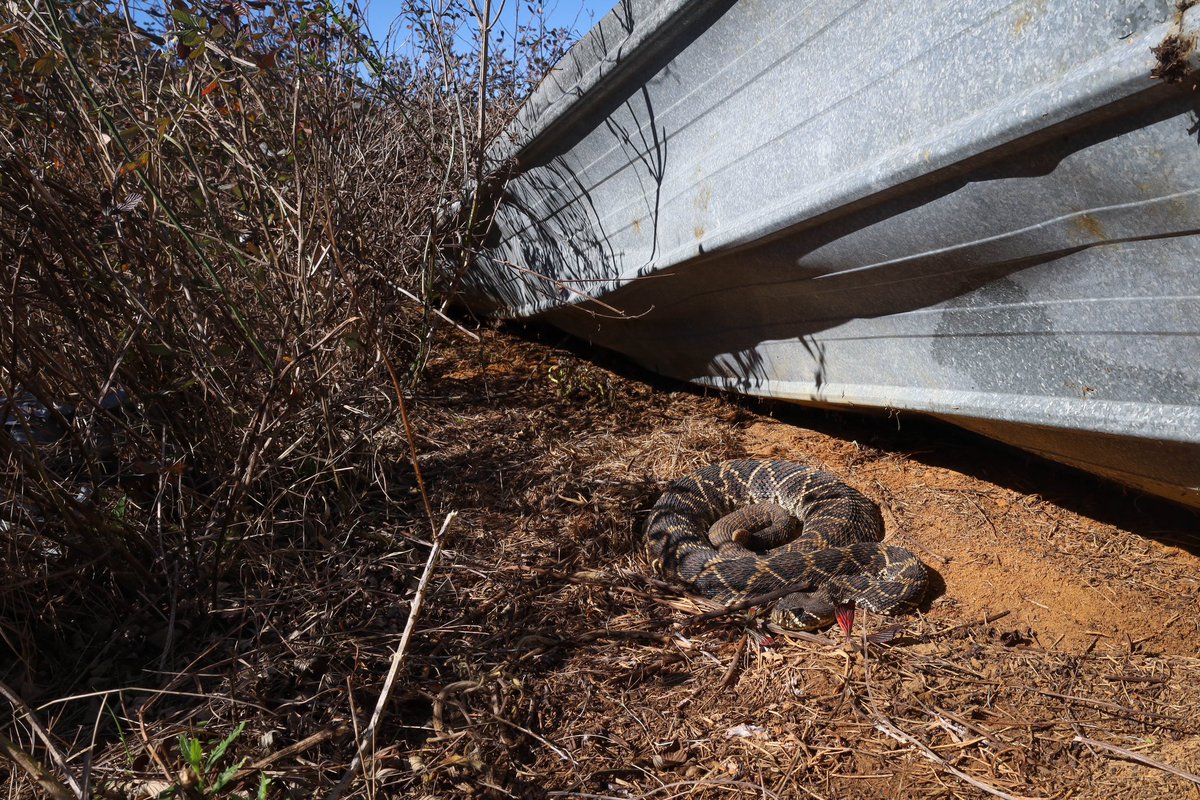 NKFherping tweet media