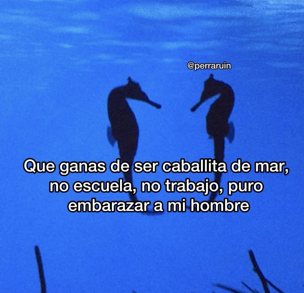 itextosoff's tweet photo. https://t.co/1e0CqsMuFW