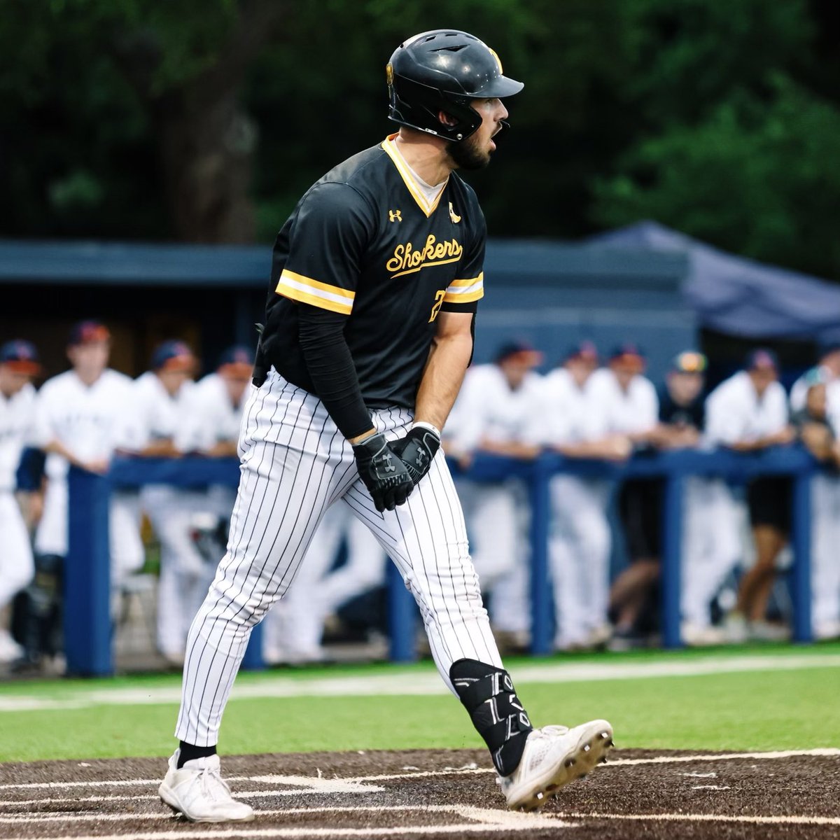 Wichita State Baseball tweet media