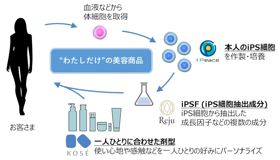 アイ・ピース株式会社、株式会社コーセー、レジュ株式会社は、お客さま自身のiPS細胞からの抽出成分「iPSF」を配合したパーソナライズ美容商品の開発・提供を目指して技術提携することを決定しました。
ipeace.com/personalized_i…