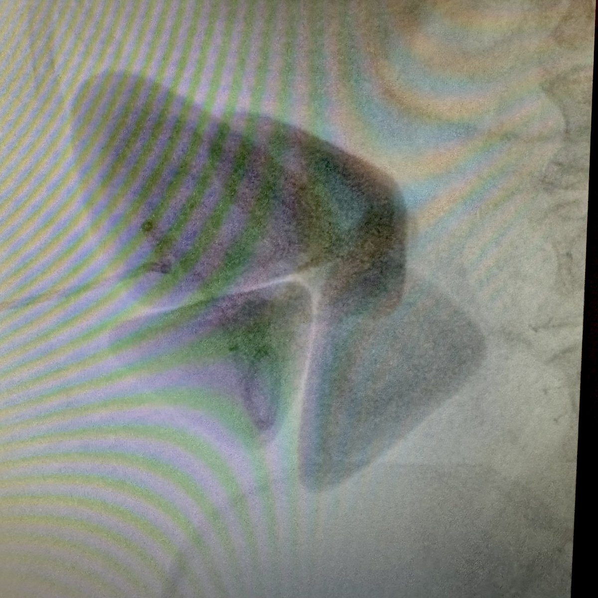 Richard Link tweet media