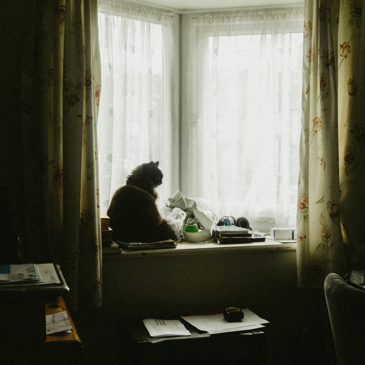 AagyrFerboden's tweet photo. TIME HEALS NOTHING

NEW SINGLE OUT NOW https://t.co/AQ95VicGgx