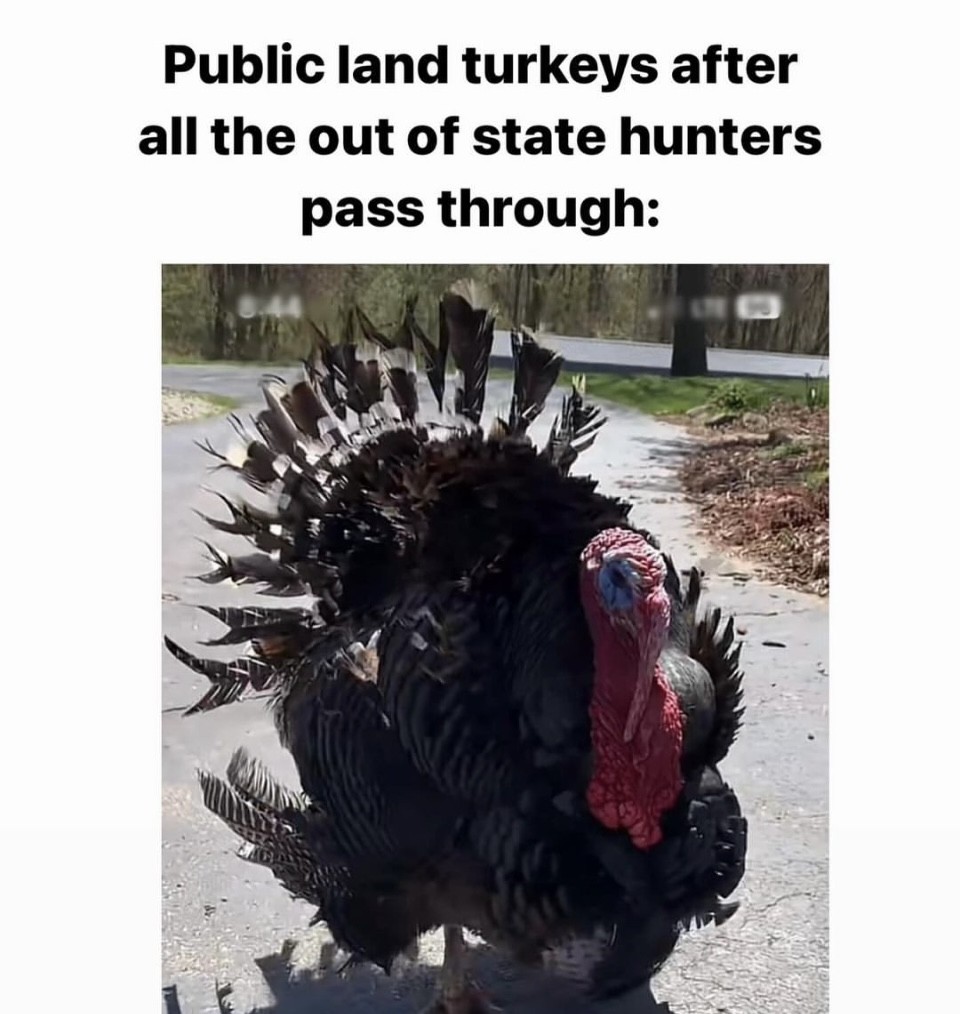 Do you hunt state land? 😂 - Shared by @official_americanfetcher 

#FindYourAdventure #hunting #outdoors #publicland #wildturkey #turkeyhunting #turkeyseason