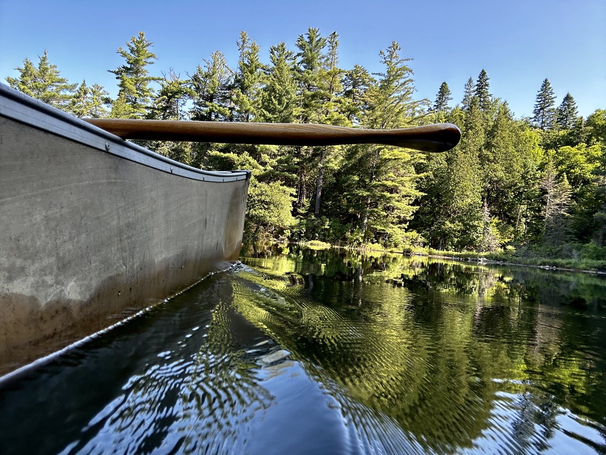 Research shows that #paddling is good not only for our physical health, but it also keeps our mental health afloat! 🛶 

Learn more about the benefits of paddling: bit.ly/4dmGMhX 

#CMHW #CanadianMentalHealthWeek #HPHP