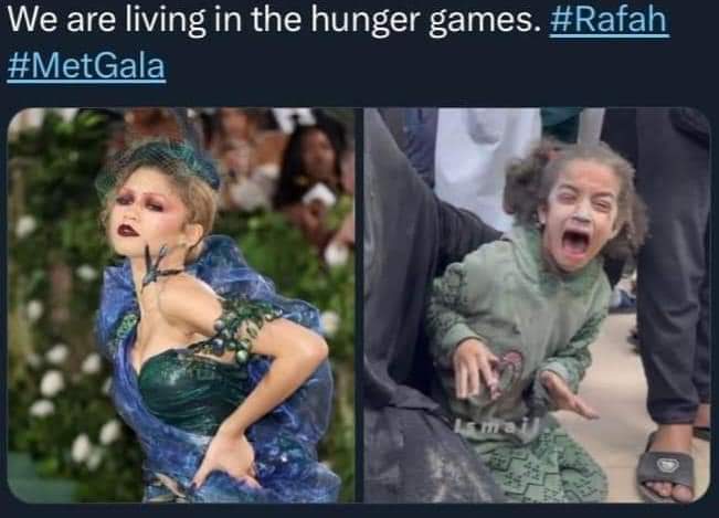 Emily Miller tweet media