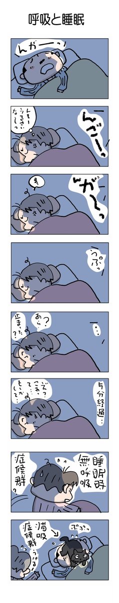 呼吸と睡眠♬ #こんなん描いてます #自作まんが #漫画 #猫まんが #4コママンガ #NEKO3