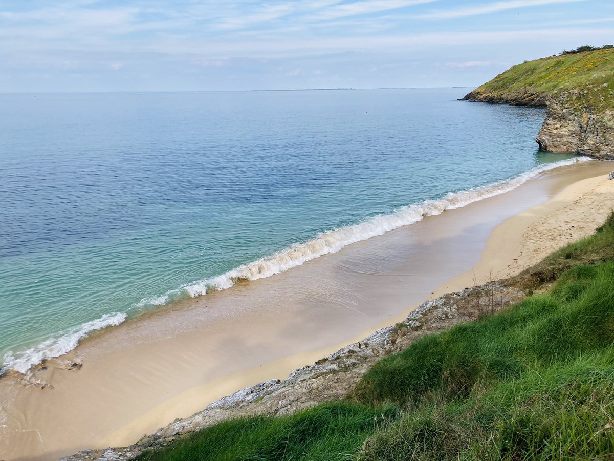 LEMAÎTRE Céline tweet media