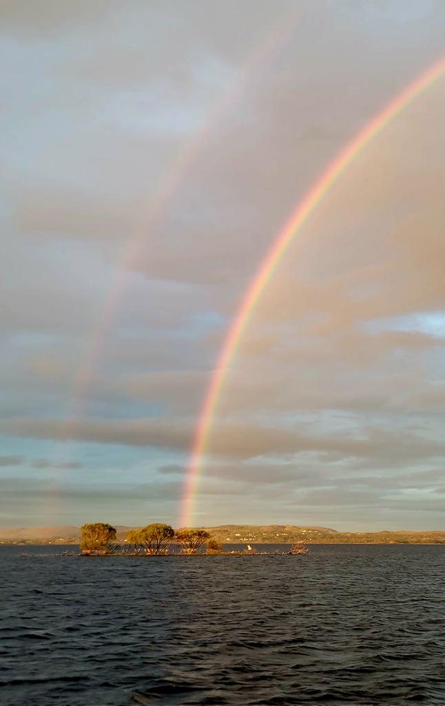 Bryan Kennedy tweet media