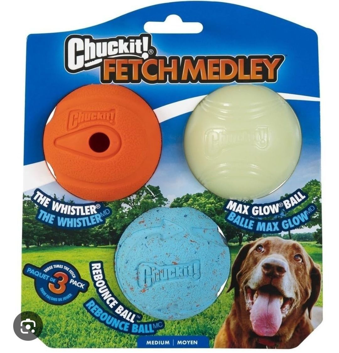 ✨ #PugTalk starts in only one hour! See you there, furiends! If you have any questions about how it works or anything at all, DM us! ✨@chichidog6 is co-hosting with Chuckit Fetch Medley Balls for 3 winners! Give then a follow!