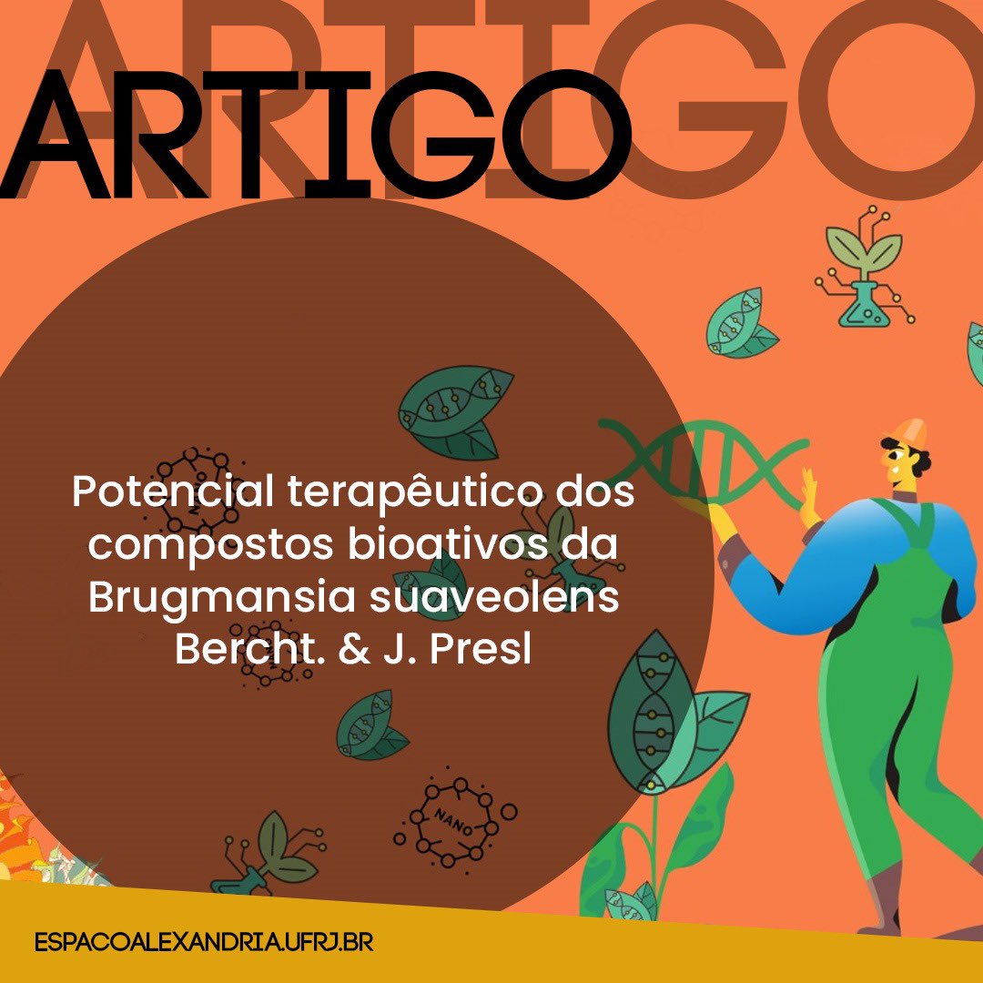 eaufrj's tweet photo. Oi pessoal! Estou animado para compartilhar meu novo artigo sobre o potencial terapêutico dos compostos bioativos da Brugmansia suaveolens Bercht. &amp; J. Presl. Confira o link no perfil para saber mais! 💫 #Pesquisa #Brugmansia #TerapiaNatural https://t.co/JJAQFa83OU