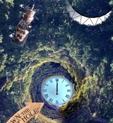 Alice tweet media