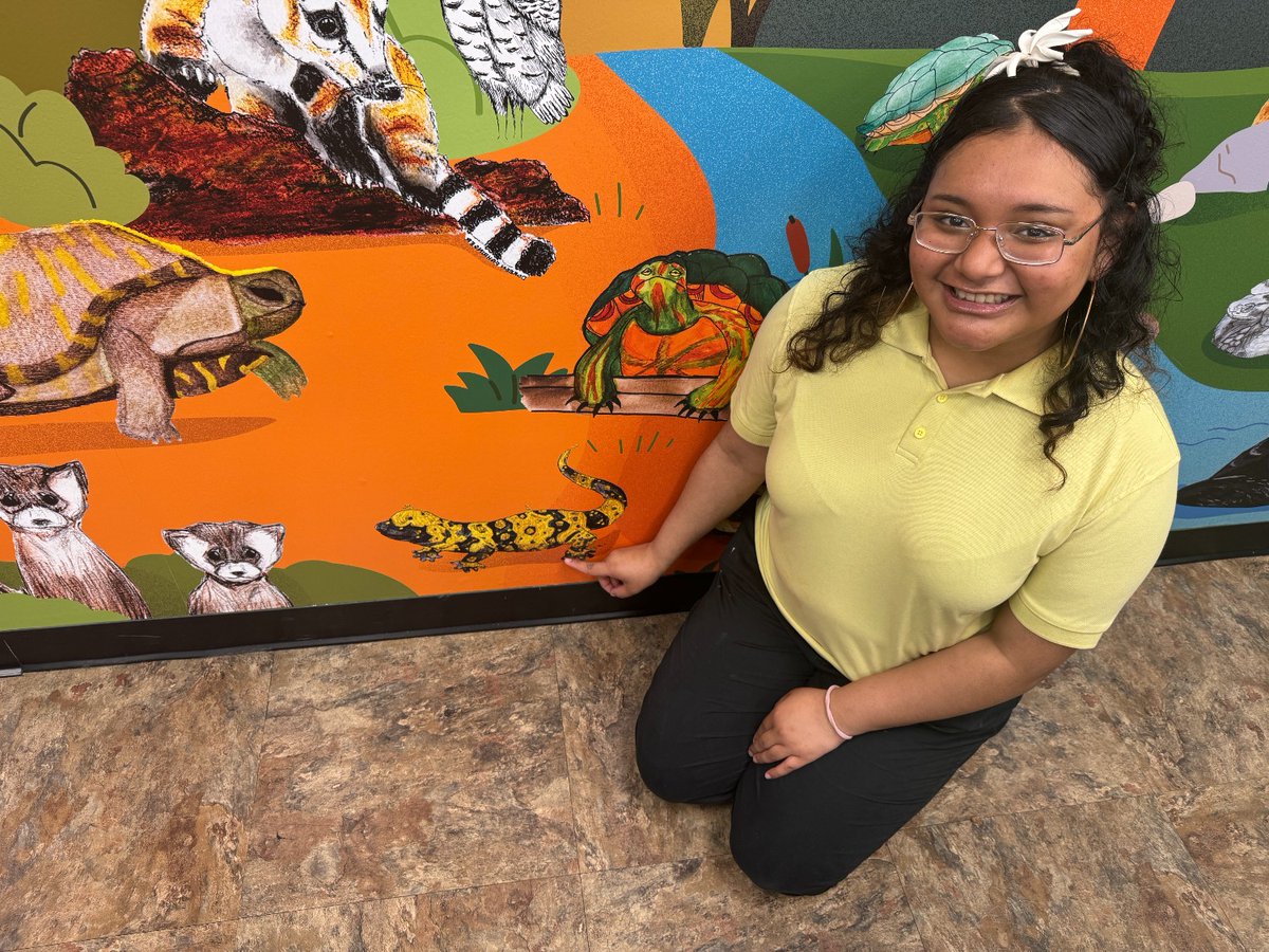Today, students and faculty from @miltonhershey visited the #ZooAmerica Admissions Building to see a floor-to-ceiling mural featuring their drawings and paintings of various North American animals. The mural was created by 20 MHS Senior Division Students: bit.ly/4doE0J0