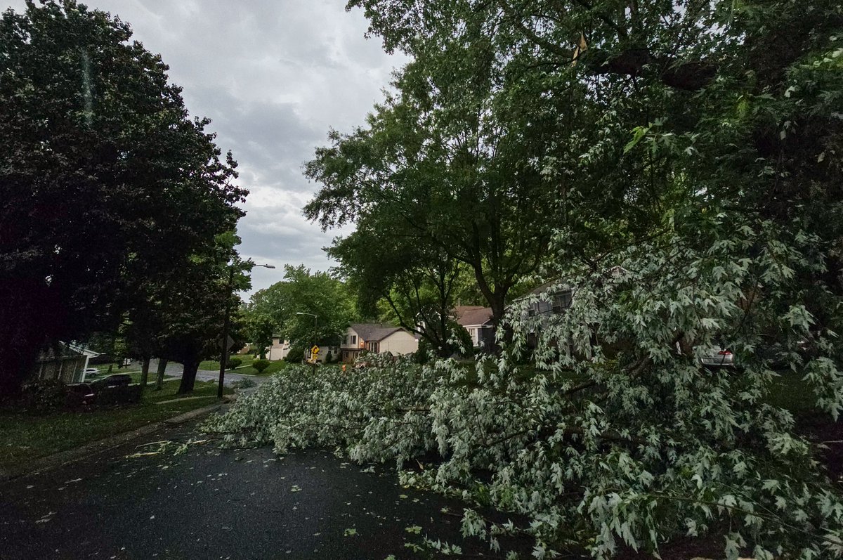 Storm damage in Charlotte from today. <a href="/theobserver/">The Charlotte Observer</a>