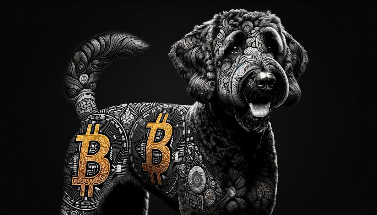 I’m Buying more $MYRO 

It's like buying bitcoin for $10

<a href="/MyroSOL/">Myro | Solana Chain 🐕‍🦺</a> 

#Solana 💜