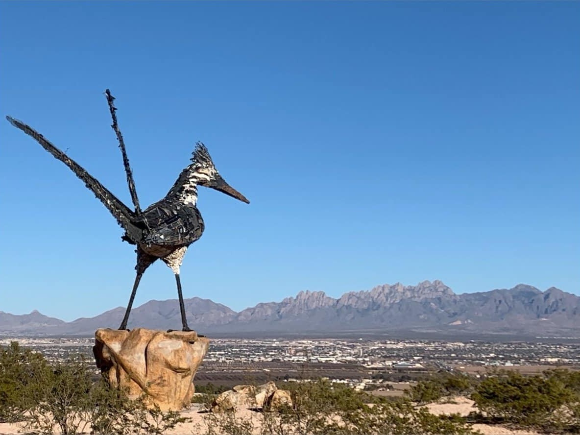 Did you know the Roadrunner statue in Las Cruces is made entirely out of recycled materials? The sculpture of the state bird stands 20 feet tall and is designed to make us rethink our consumption habits. ♻️ Image source: Las Cruces Directory