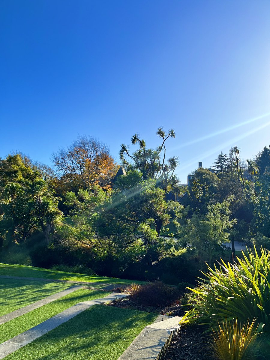 UC Pacific Studies tweet media