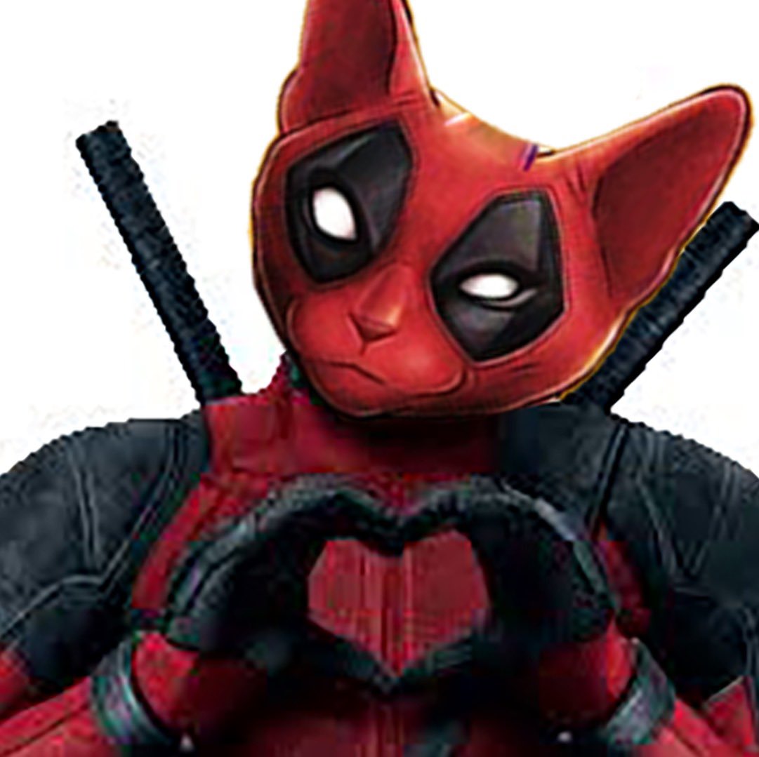 SolCatPool tweet picture