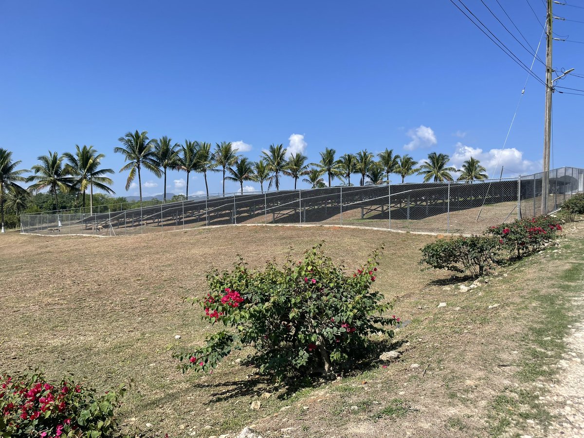 Rewarding to see the work done by UK-based renewables firm #Soleco, led by #AngellaRainford coming to fruition at commissioning of @CBGroupJM facilities’ solar systems in presence of Ministers @floydgreenja & @darylvazmp & MP Hugh Graham 🇬🇧🇯🇲@biztradegovuk @UKinCaribbean
