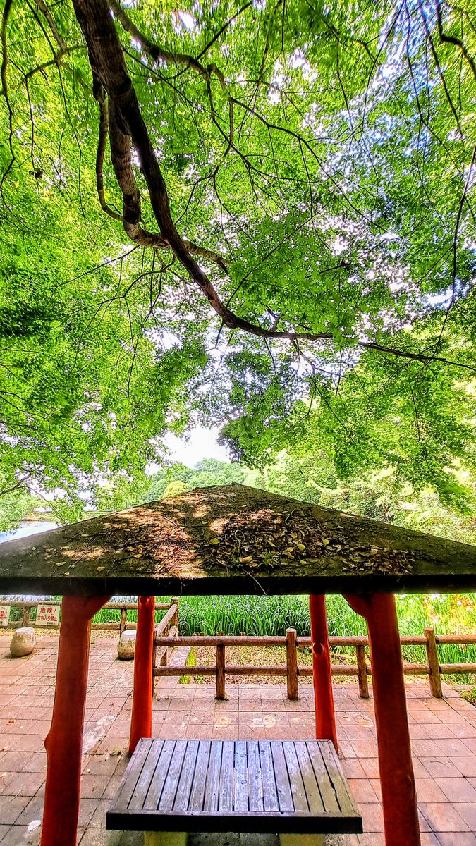おはようございます。
曇り空の朝です、うぬまの森公園は鳥の鳴き声に癒されます✨
きょうも良い１日で有りますように‼️😊