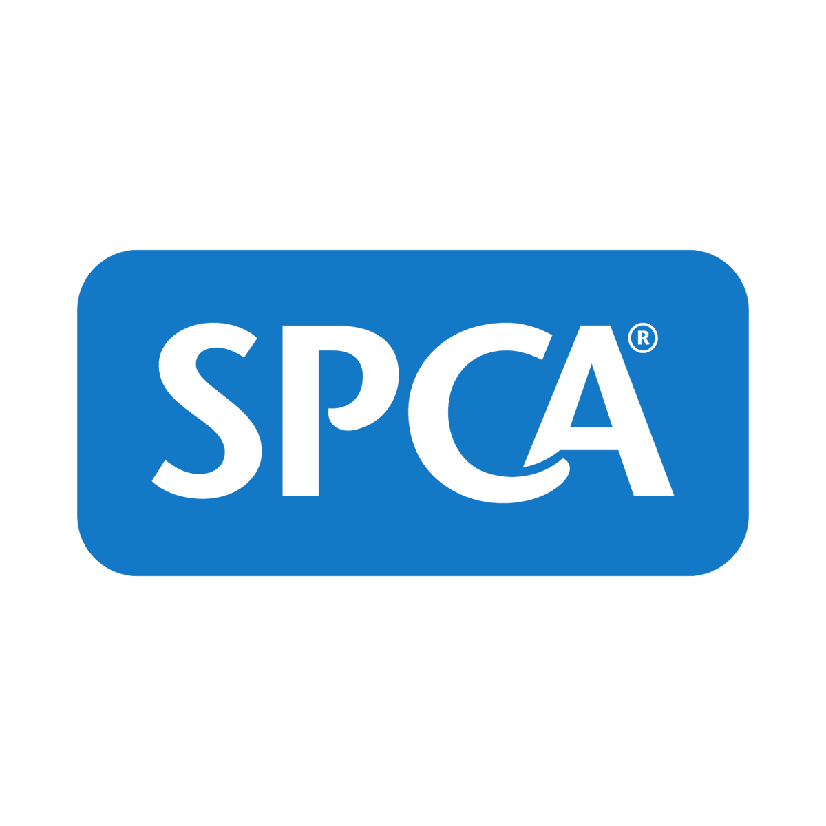 Job Opportunity Head Veterinary Nurse at SPCA - Auckland, New Zealand #LoveYourVeterinaryCareer #SPCA #HeadVeterinaryNurse #VeterinaryNurse #VetNurse #VeterinaryJobs veterinarycareers.com.au/Jobs/head-vete…