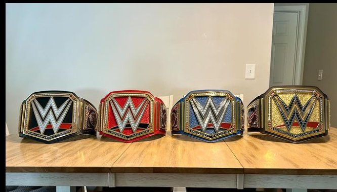 The only wrestler has held all these titles till now!!