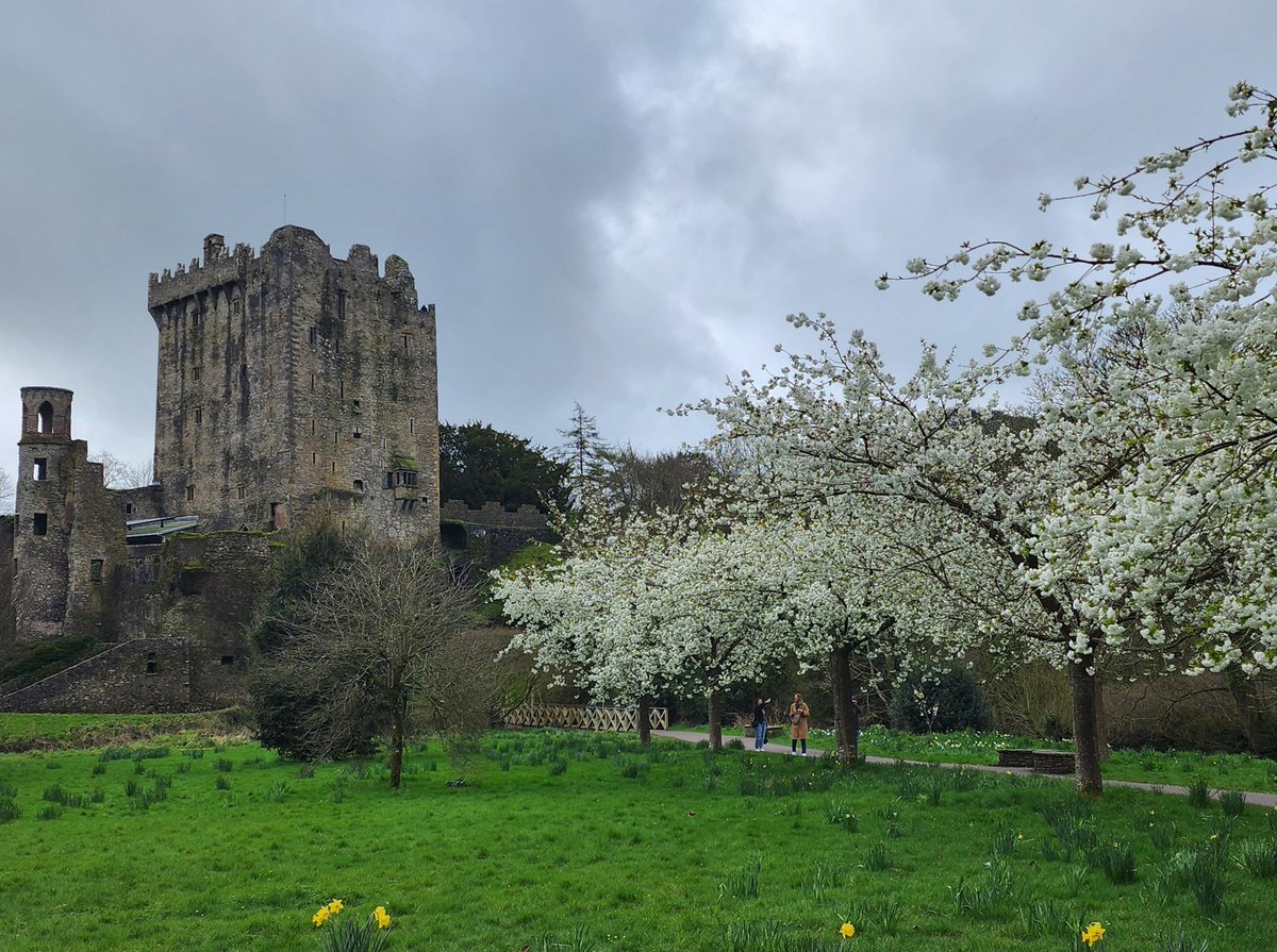 👏🏽 received my #KSImmunometabolism Scholarship travel award! ❤️ my first keystone. Excellent #mitochondrial #metabolism science, networking and Ireland OMG! #CliffsofMoher #RingofKerry #BlarneysStone @WUSTLPCCM @WUSTLmed @IDEASDOM_WUSM @WUICTS @KL2_WUSM