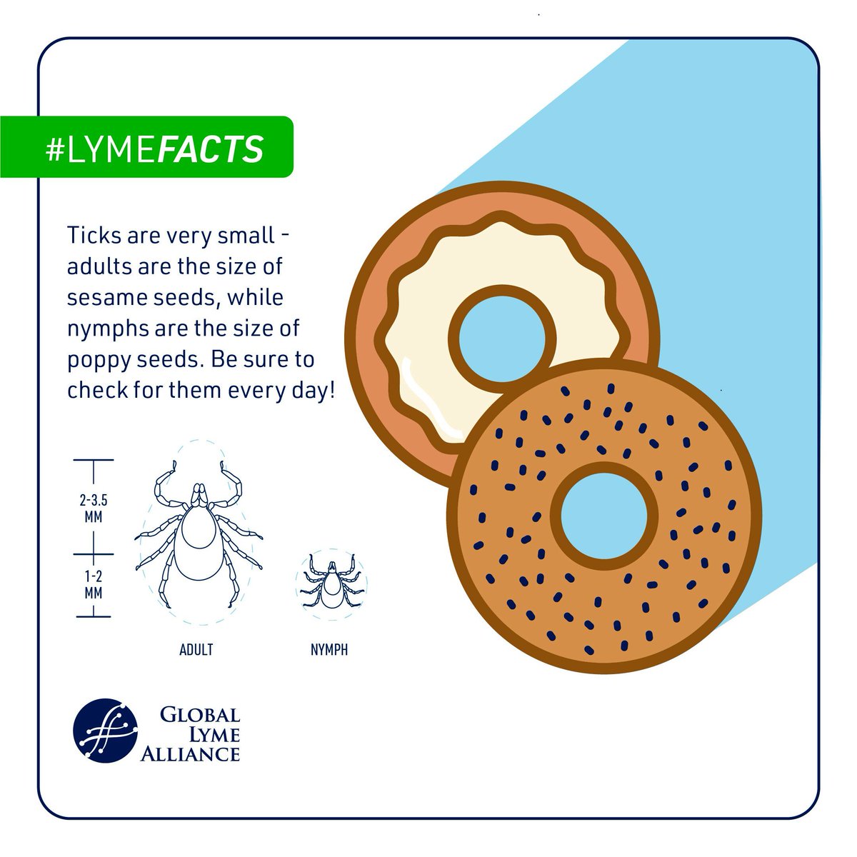 LymeAlliance's tweet image. Ticks might be small—about the size of a sesame seed—but their impact on health can be huge. 

Arm yourself with knowledge, facts, and tips all Lyme Disease Awareness Month! And get the word out to be #TickAware 🌿🕷️ #LymeDiseaseAwareness