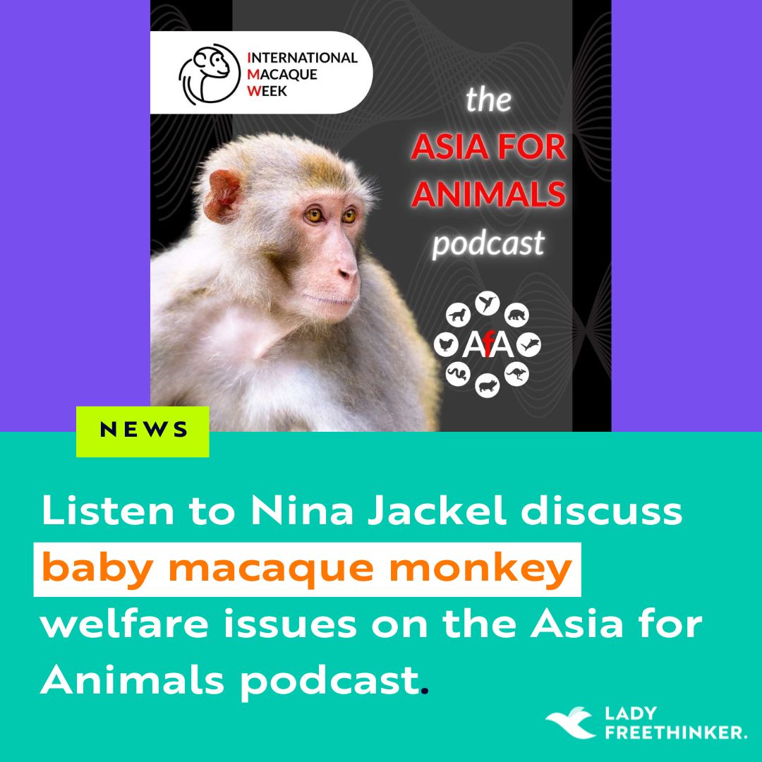 Thank you to @AsiaforAnimals for having Lady Freethinker Founder Nina Jackel on the Asia for Animals #podcast! Nina and Sarah Kite from @Action4Primates discuss current issues in #Macaque #monkey welfare in this episode of the podcast:️ asiaforanimals.podbean.com/e/macaques-on-…