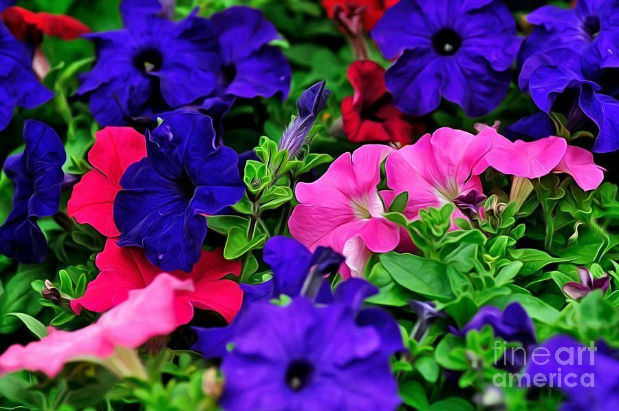 #Colorful #Morning #Glory Print by Kaye Menner #Photography  Wide variety #Prints & lovely #Products at:
 bit.ly/44A3yyR
#Art #BuyIntoArt #AYearForArt #Artist #FineArtAmerica
