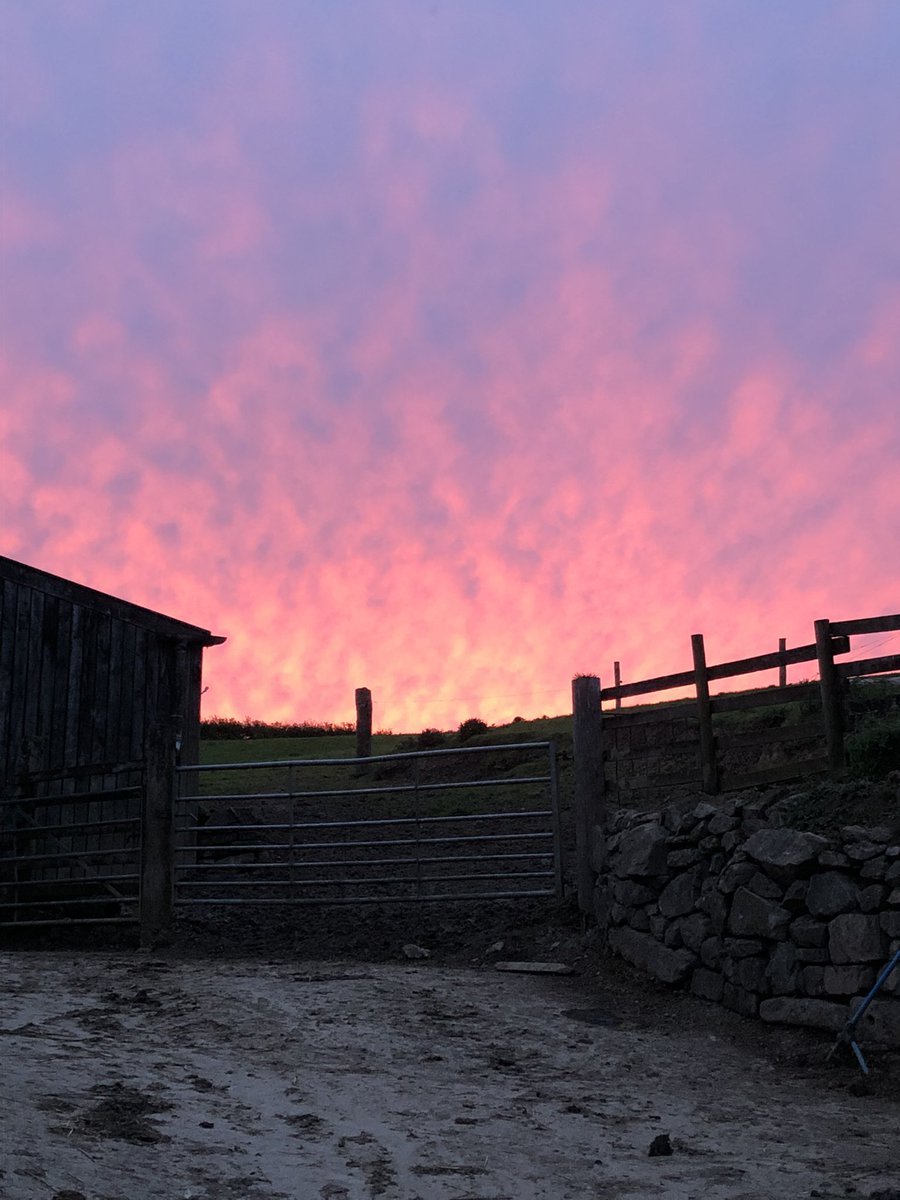 Beautiful sunset over the farm ❤️#farmholidays #northcornwall #bookdirect #petfriendly