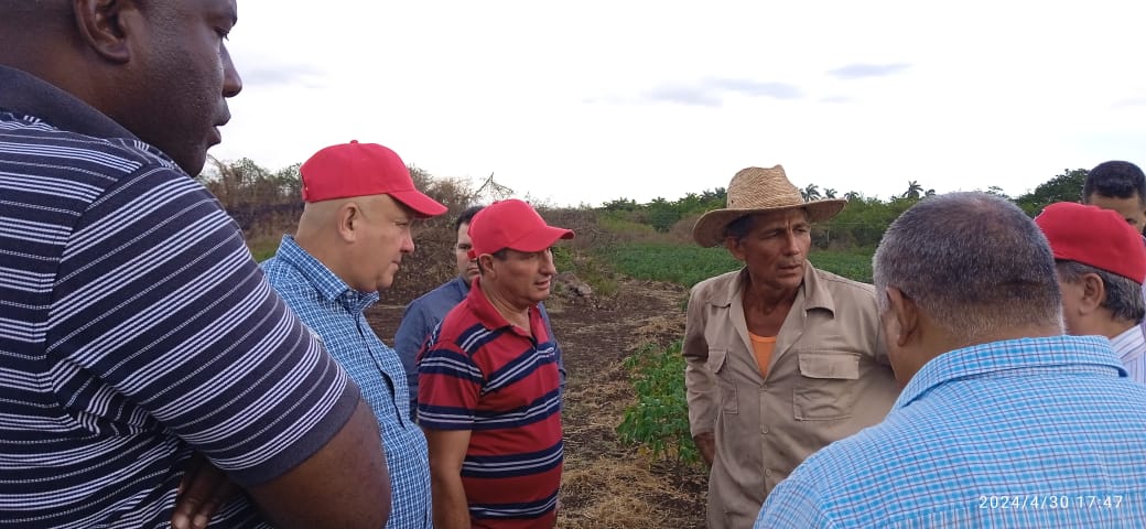 Junto a @JorgeLuisTapiaF y las autoridades de la provincia, chequeamos importantes compromisos productivos en Camagüey y visitamos productores con buenas experiencias en la siembra de cultivos tan necesarios como el plátano y la yuca. #GenteQueSuma