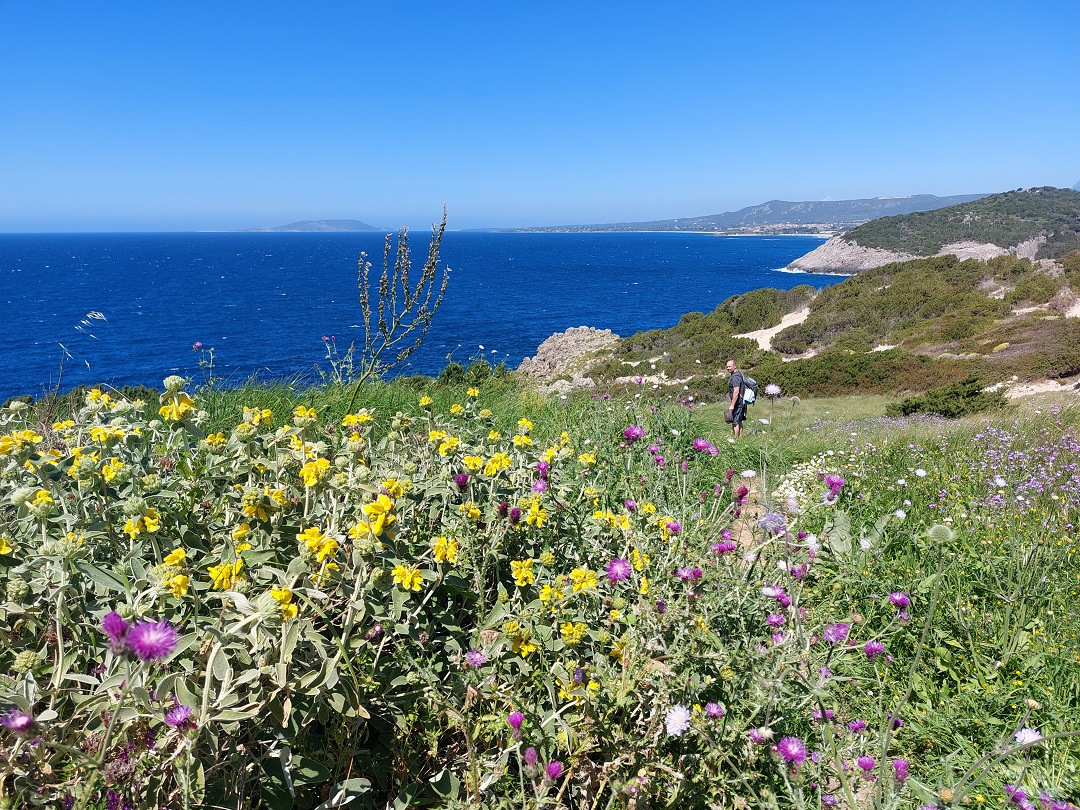 Great__Escapes's tweet photo. I'd always heard so much talk about all the islands of Greece  but I don't recall anyone telling me about the amazing Peloponnesian Peninsula! I hope to change that for you with this write up.

https://t.co/5WqgGF0MXd https://t.co/CffO13bR49