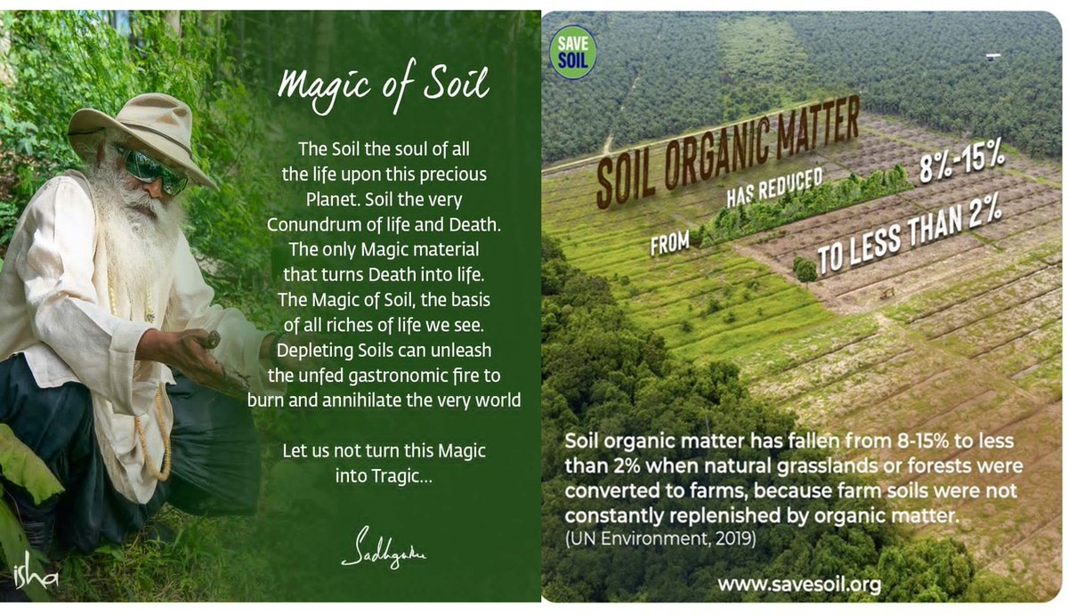 Projected impacts on agriculture due to changes in water availability are also severe. The yields of  rain-fed crops such as maize are projected to decline by one-fifth to one-third by the end of the century-WWF
#cpsavesoil 
✍️Write a letter #PolicyForSoil savesoil.org/write