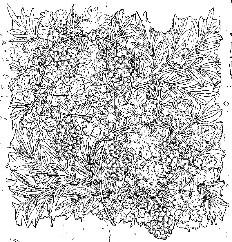 ウィリアム・モリスの塗り絵
William Morris's coloring

ぶどう　
Vine

coloring.paradjanov.biz/?p=1220

#ぬりえ #塗り絵 #大人のぬりえ #大人の塗り絵 #coloring #coloringpages #coloringbooks #Morris mtbrs.net/ps_ys9902_Morr…